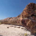Petrified Forest NP