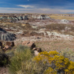 Petrified Forest NP