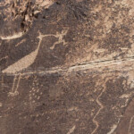 Petroglyphs at Newspaper rock