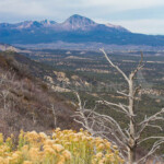 The fall season was definitely drawing to a close.