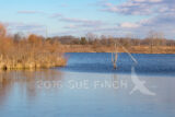 Pickerington Ponds Metro Park on a cold January day. The Ice is working its way across the pond.