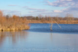 Pickerington Ponds Metro Park on a cold January day. The Ice is working its way across the pond.