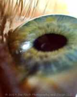 My daughter suggested my topic for today.