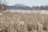 Behind the mall in Lancaster there is a wetland area. Even though there is a lot of city between here and Mount Pleasant, the angle of the land camoflages it well.
