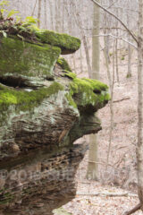 I did the 3 1/2 mile hike at Boch Hollow today. There are some rock formations along the trail. Today this one really looked like a face to me.