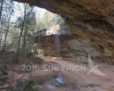 Today's hike started at Ash Cave.
