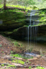 I took a short hike back to a very impressive waterfall today in Hocking State Forest in the Rappelling area. This is not it. I'm sure my picture of the bigger falls will surface in a different gallery, but there was something about this little side falls I found more appealing for my Picture-A-Day project.
