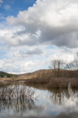 Clouds were moving in this afternoon over Kessler Swamp State Nature Preserve.