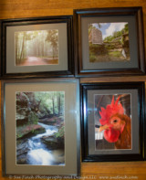 I spent a large part of the day prepping my photos for the Fairfield County fair. These are the photos I plan to have at the MPPC booth. Be sure and stop by to check them out Monday through Saturday (While the fair will be open Sunday, the Art hall is closed for judging that day). Two have been displayed elsewhere before, and two are new. The stream picture is also being entered in the Landscape category for the photo competition, and the Chicken is my entry for the Domesticated Animal Digitally altered.