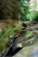 This rocky forested area is just upstream from Robinson falls.