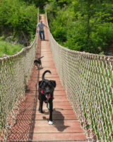Caesar Creek Lake is a strange conglomeration of land owned by the U.S. Army Corps of Engineers and operated by U.S. and state agencies. Along the trail to Horsehoe Falls there is this bridge. We let the dogs "run" to me, since there wasn't really any where they could get loose. They weren't sure about the wobbly bridge. Tucker almost came all the way to me, but then he turned back and ran to Mike and wouldn't come across until Mike was behind him. The waterfall was near dry and not very impressive.