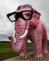 This morning before leaving Wisconsin we stopped for gas and I took a few pictures of Pinky in DeForest. He has been standing there since the '60's.
