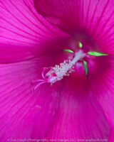 Outside of Olivedale before club.