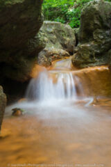 I will probably post a gallery from today on my website tomorrow. It was hard deciding. This little side waterfall at Yellow springs really intrigued me though.