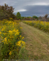 We were out at Boch Hollow today as the storm was moving in. The cool temperatures and light breeze really made it feel like fall. Golden rod and the red leaves of the Dogwod trees along the grassy path took on beautiful hues as the clouds moved in. We met Levi, the park manager, along the trail and he told us the new Buckeye trail through the preserve will officially open on Friday. Some of the trails we walked today will no longer be available for the public, while others will be opened. There are currently 3 miles of trail for public use at Boch. After the opening on Friday there will be 8 miles. Many of the trails will be re-routed to get people closer to the rock formations. I look forward to seeing the new maps and signage soon.