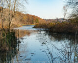 The oaks are finally changing. There is still a little bit of fall color out there.