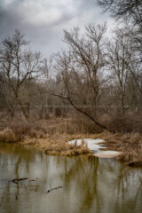 #LakeLogan still has a lot of #ice , but the shallows have pretty well melted, adding a bit of color on this #grayDay #365Project #cy365 #23 #Ohio #OhioStateParks #Thaw