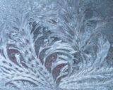 #FrostFlowers on the storm window. #365Project