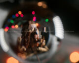 Ok, so I started with a #leaf, but that was boring so I added #Gimli but it lacked #color so I added #ChristmasLights with #Bokeh ... Still wasn't doing it for me, so out comes the #CrystalBall ...I should play with that thing more often. #365Project #cy365 #11 #LordoftheRings