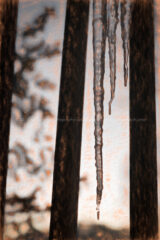 #Icicles on the fence #365Project #cy365 #17 Posted a day late due to computer issues. Reinstalling the program seemed to fix the problem luckily #Ice #January #Ohio