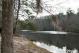 #SouthCarolina #SpanishMoss over the Lake #365Project #cy365 #49