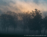 #EarlyMorning #Fog after spending the night at the I-10 #RestArea #FloridaIsFull couldn't find a place to camp. #Florida #365Project #cy365 #53