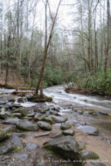#SmokyMountains #NationalPark #RainyDay #MountainStream #365Project #cy365 #56