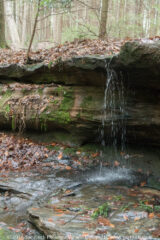 Along the creek to Counselor's cave
