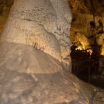 This was large enough and close to the path that the only way I could get the whole height was was with multiple pictures.