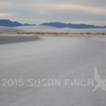 Much of the park road is simply a smoothed sand bed. It was very firm for driving. White Sands National Monument, NM