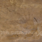 A whit paint was blown around the hand.