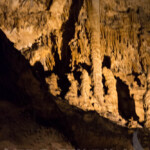 I tried several times to get this one in sharp focus. It wasn't cooperating.