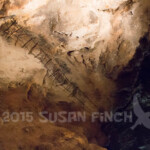 This ladder was installed by Jim White in 1924. He brought early researchers down into the caves.