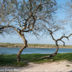 Campsite at Adolphe Co. Park