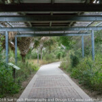 Walkway at the World Birding Center