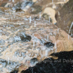 Rock Holes from the Waterfall