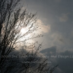 Yesterday as the storm clouds moved through they parted briefly and I ran out to get this shot. I had a shot of "All the leaves are brown and the sky is Grey" but this one seemed more uplifting.