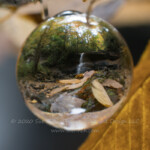 I didn't have access to the internet for last weeks 52Frames picture, so I am posting it today with number 42. This was shot through a crystal ball and the image was then flipped. #52frames #shootthrough #crystalball #waterfall #westvirginia #hollyriverstatepark #statepark #upperfalls #fallcolors #autumn #mountainstreams