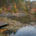 Trees are fading fast, but there were still a few colors around the ponds at Boch Hollow. #52frames_reflections #52project #bochhollow #statenaturepreserves #ohio #reflections #fallcolors #aroundthepond #printsavailable #autumn