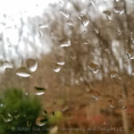 I had to borrow my husbands phone for this one, as mine wouldn't focus on the window. We went from rain and wind to sun, then rain and wind, then sun followed by cold. Felt like the beginning of winter out there today. #raindrops #52frames_mobilephone #fall #autumn #52project #rainyday