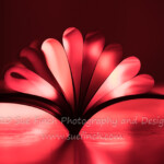 I saw a tutorial of how to do this, and since I haven't had a lot of time this week to come up with a picture, this was a fun quick project. Now to figure out how to apply it to other things. Backlit open book with curved pages.